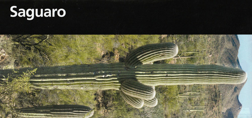 brochure cover