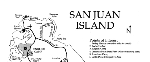 brochure cover