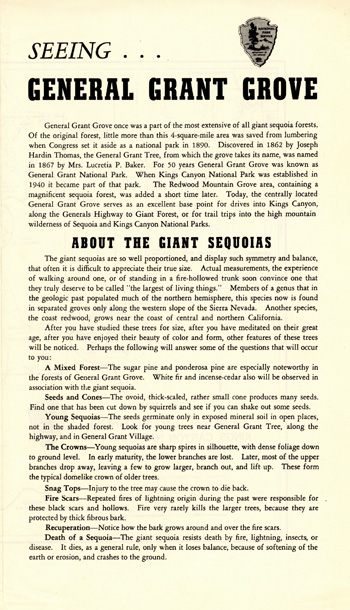 brochure cover