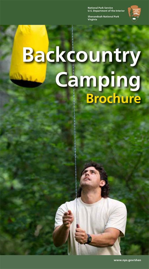brochure cover