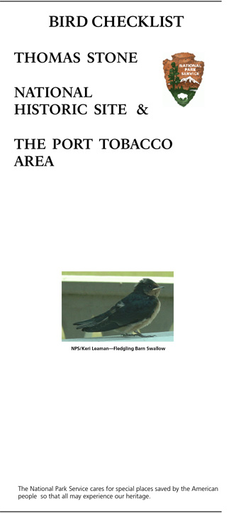 brochure cover