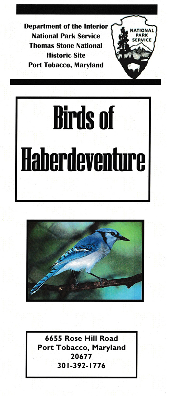 brochure cover