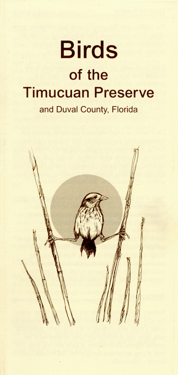 brochure cover