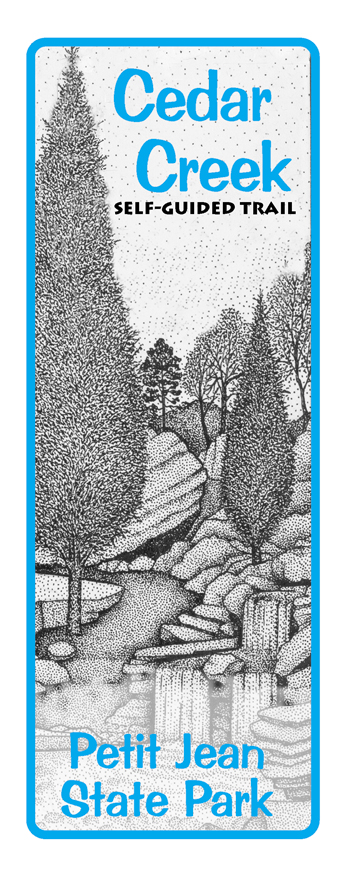 brochure cover