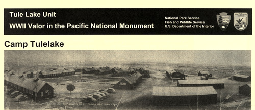 brochure cover