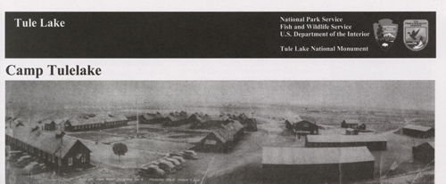 brochure cover