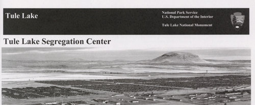 brochure cover