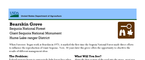 brochure cover