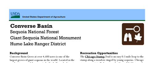brochure cover