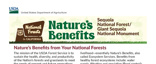 brochure cover
