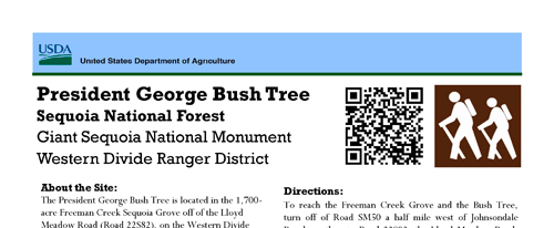 brochure cover