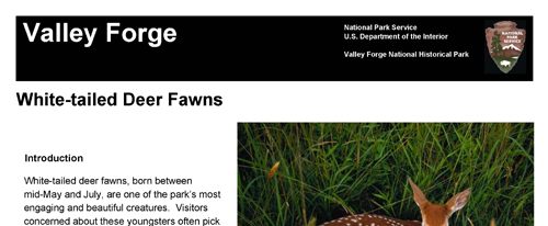 brochure cover