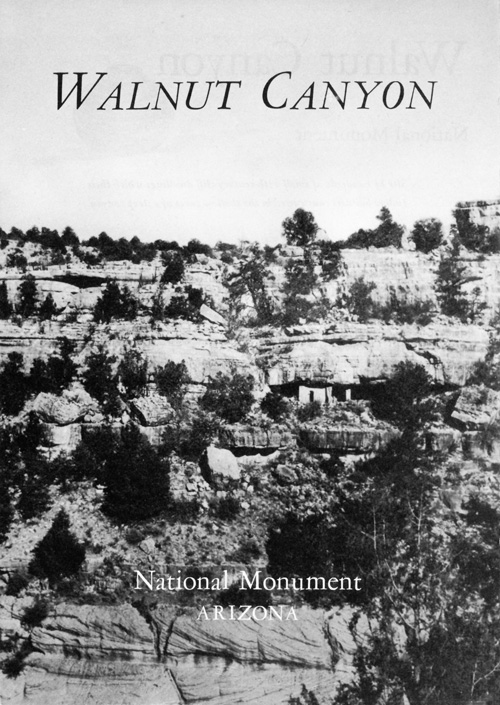 brochure cover