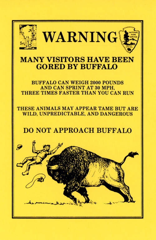 brochure cover