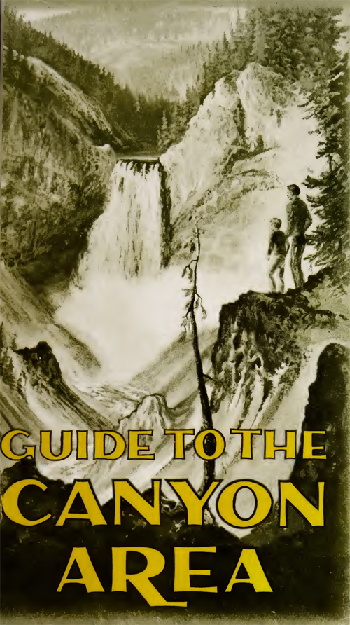 brochure cover