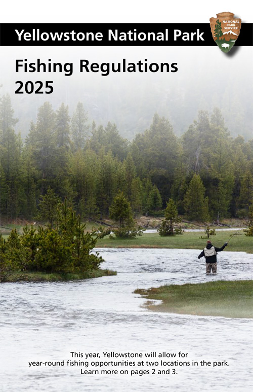 brochure cover