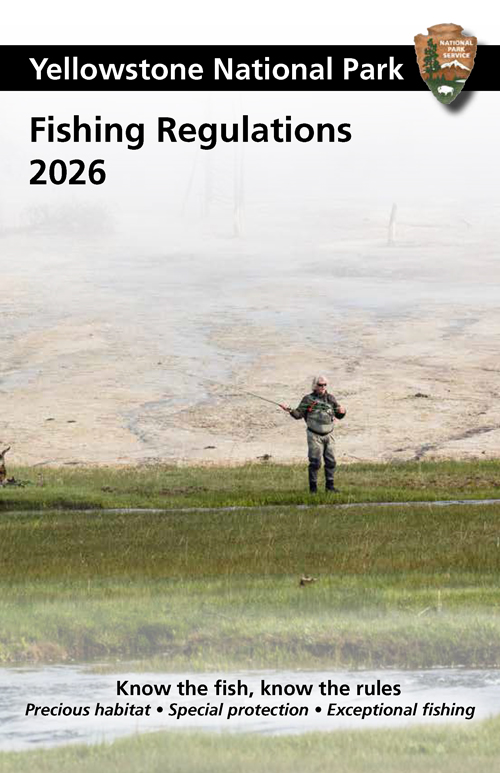 brochure cover