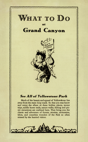 brochure cover