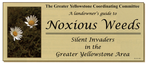 brochure cover