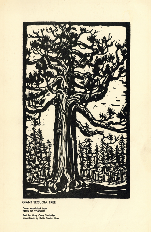 brochure cover