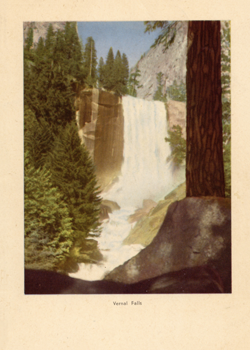 brochure cover