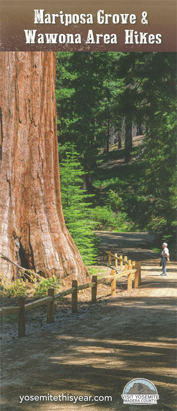 brochure cover