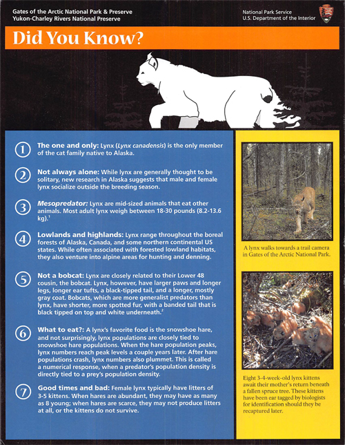 brochure cover