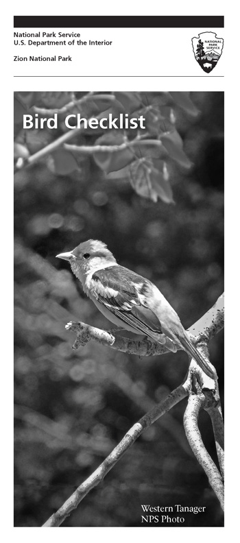 brochure cover